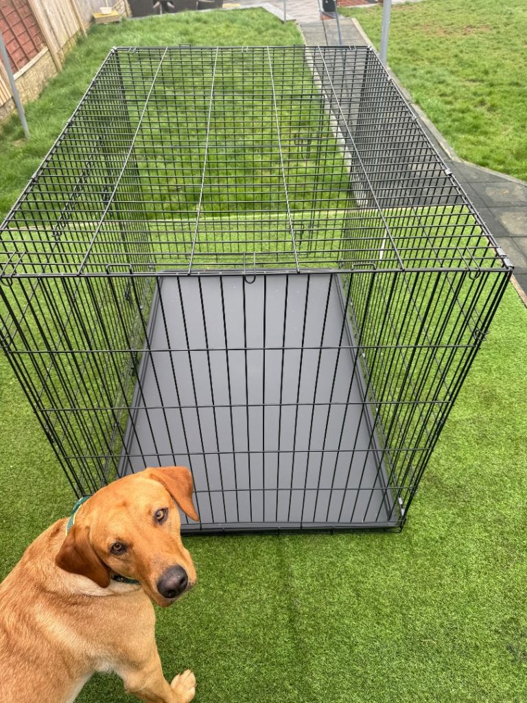 XXXL dog crate 