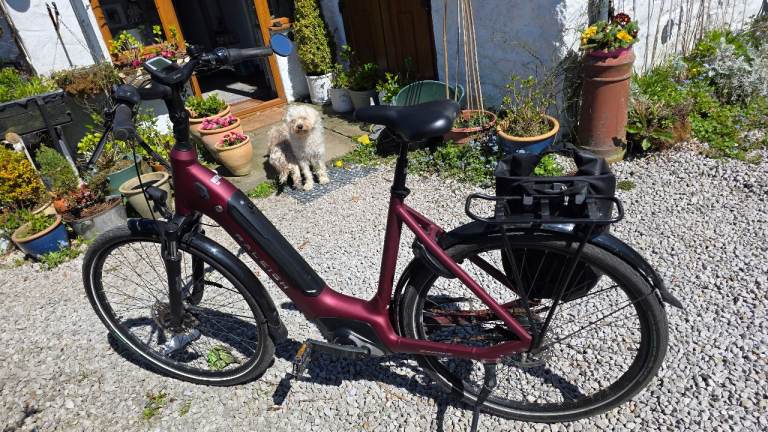 Raleigh motus tour ebike