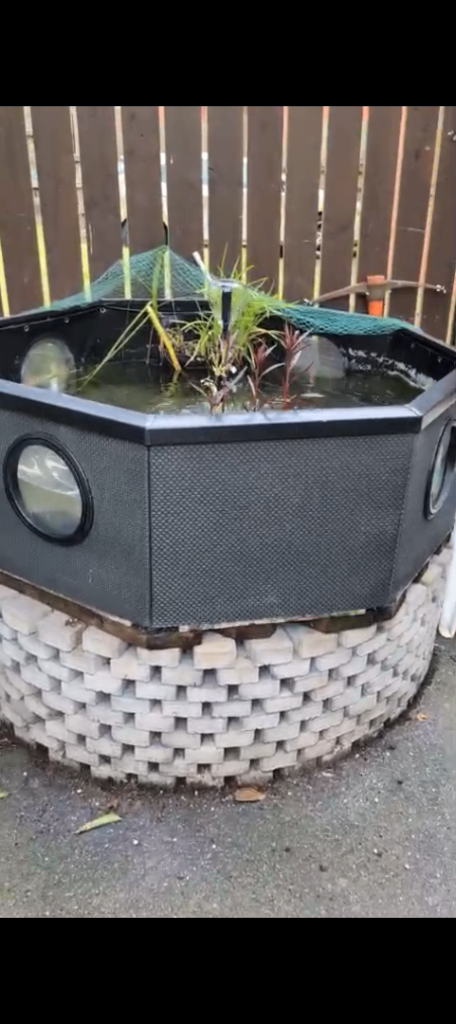 Fish Pond 