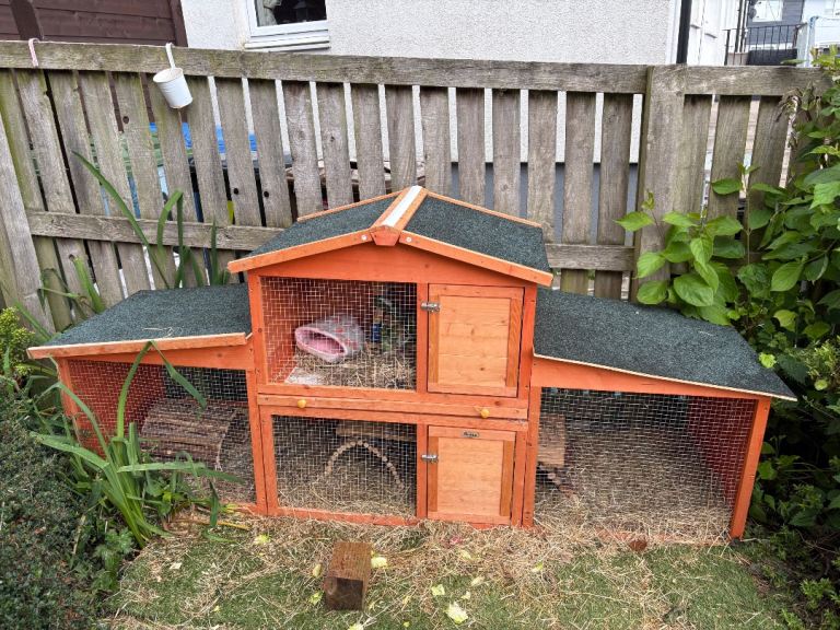 Rabbit hutch free