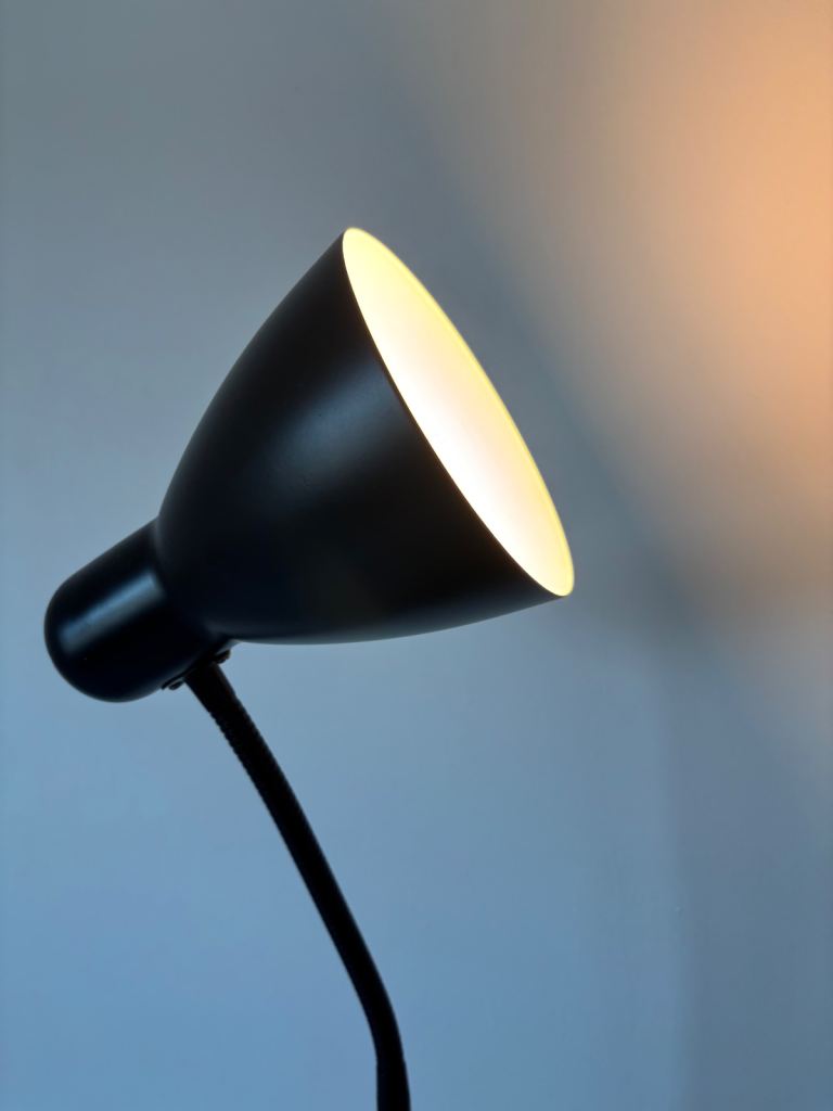 Modern Dome Floor Lamp - Minimalist Black & White, Near New