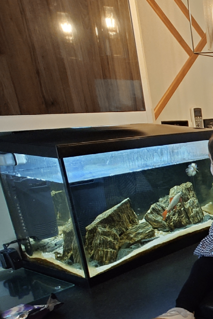 Large fish tank FREE