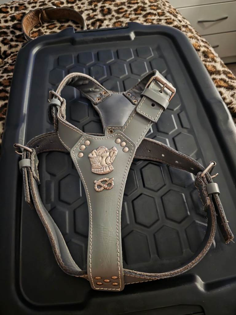 Matching harness and collar grey and silver