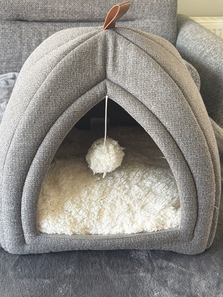 CAT DOME BED