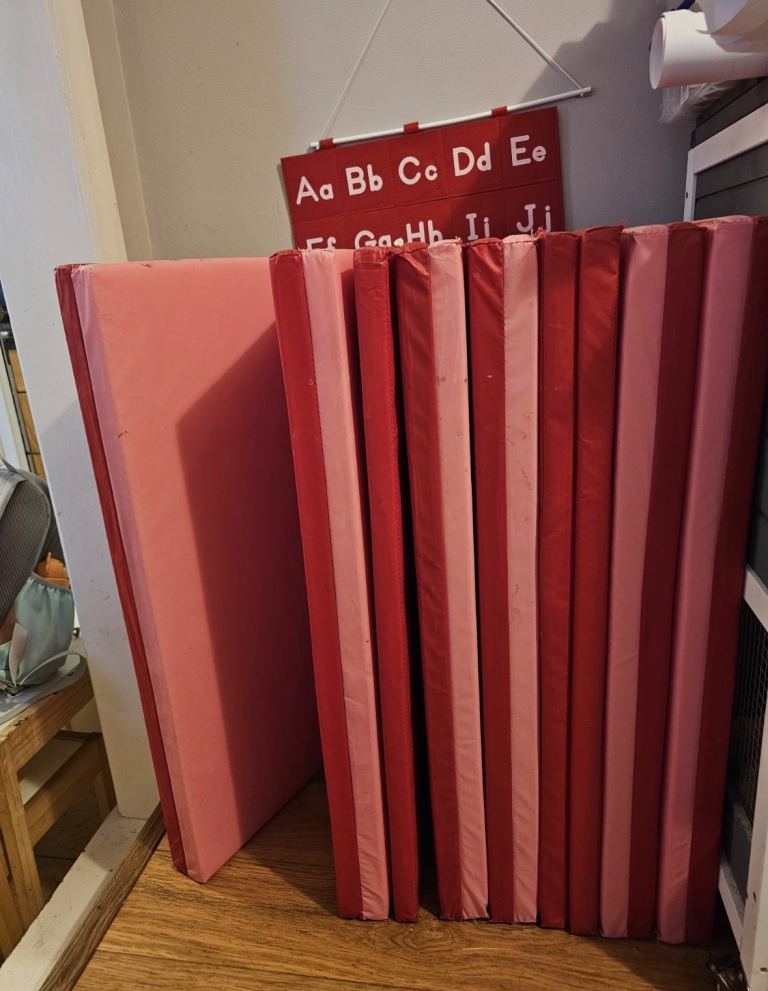 Gym/Play Mats - Red and Pink, Good Condition