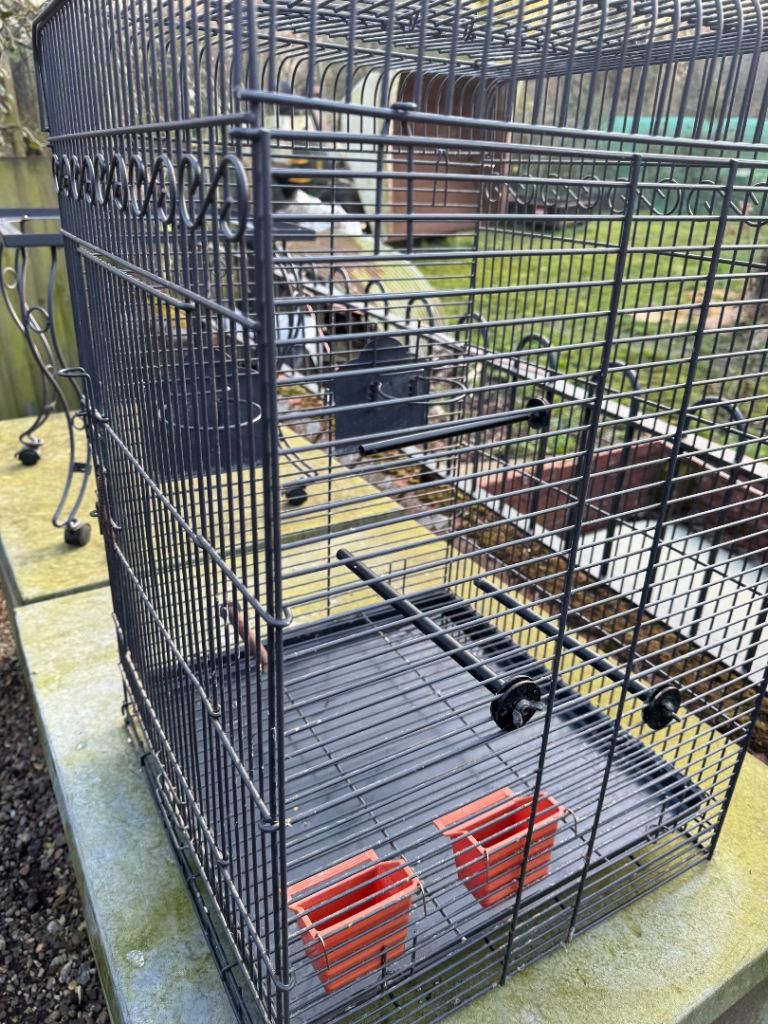 Small parrot cage 