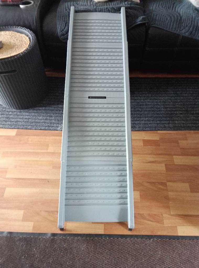 Folding dog ramp 