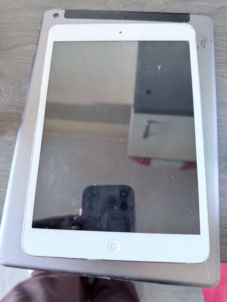 Apple iPad Mini with Rotating Protective Case – Good Condition