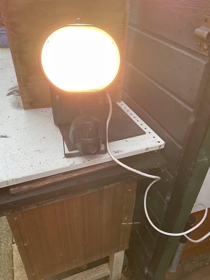 Electric Outside Security Light