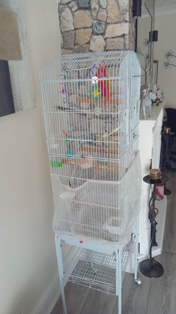 Bird cage for sale 