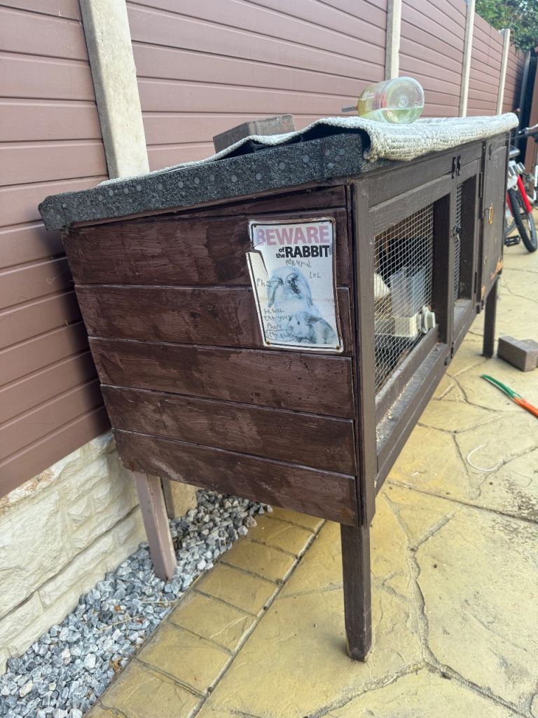 Rabbits for sale with hutch 