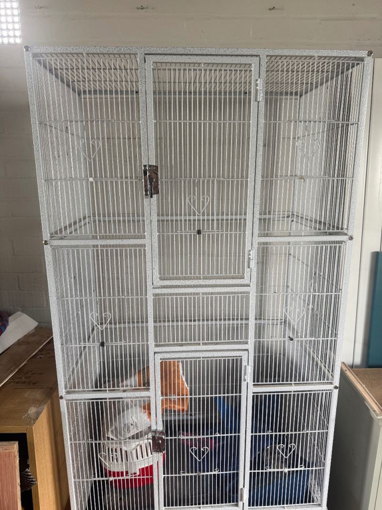 Large bird or rat cage