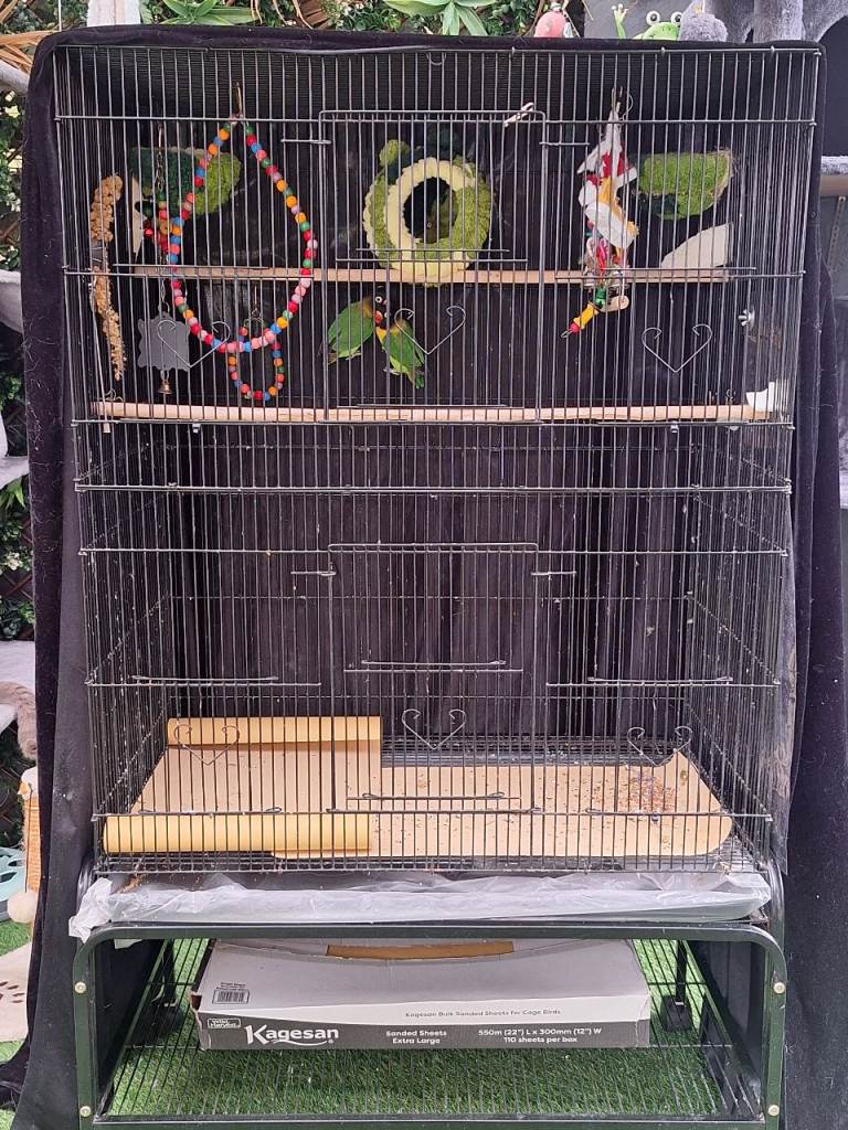 2 Bird cages plus accessories plus food 