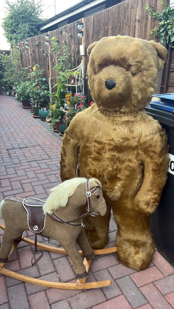 Gorgeous 4ft Teddy Bear looking for love