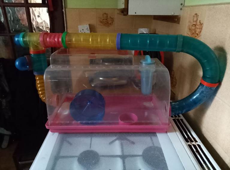 Hamster,gerbil,mouse cage