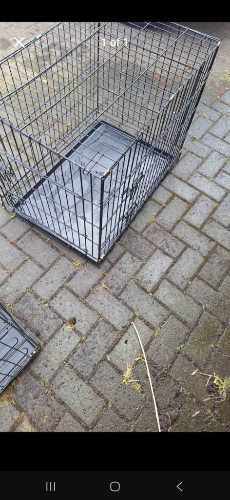 Med dog crate 