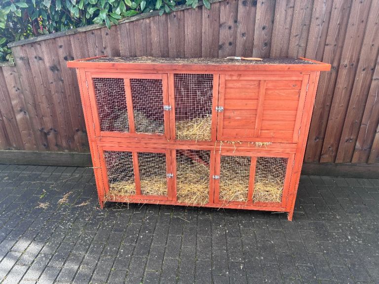 Rabbit Hutch 