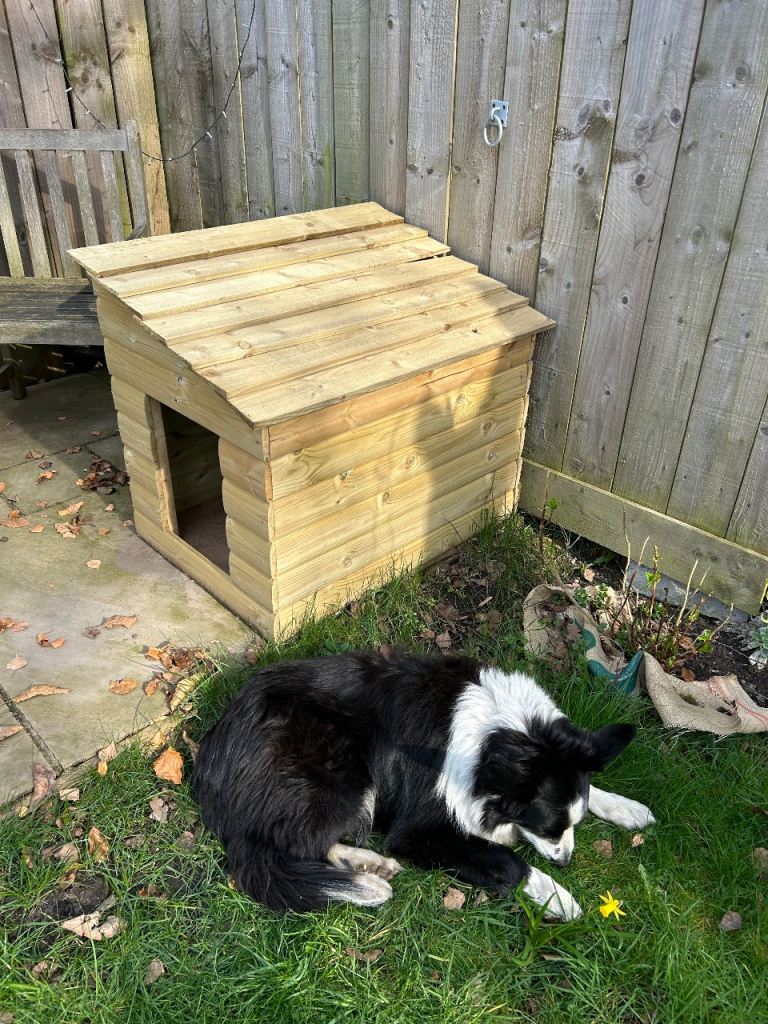 Dog kennel free