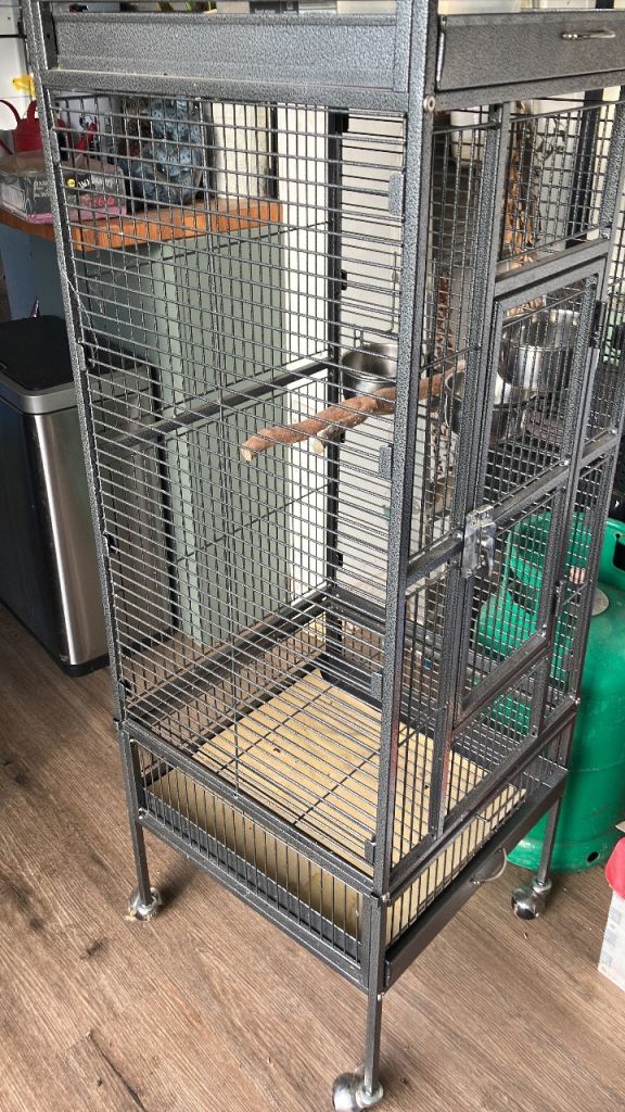 Large metal bird cage with perch and bowls on wheels