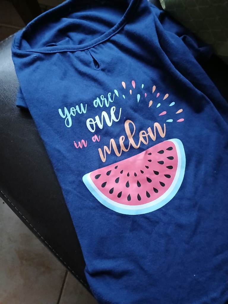 Collection of dog coats