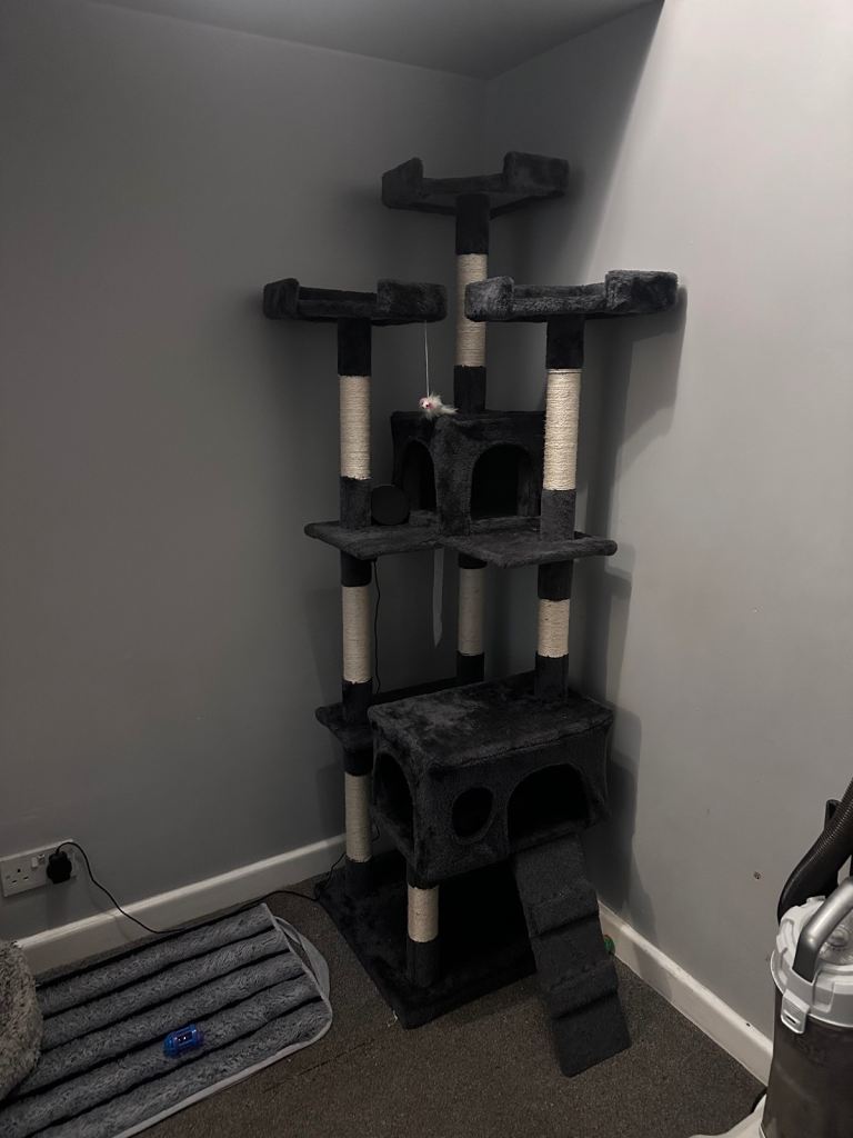 Cat Tower