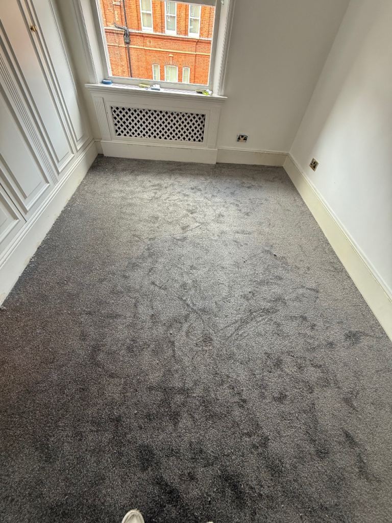 Carpet fitting and supply 