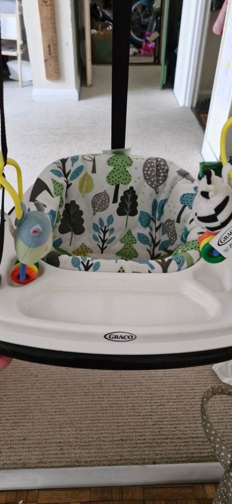 Graco doorway bouncer 