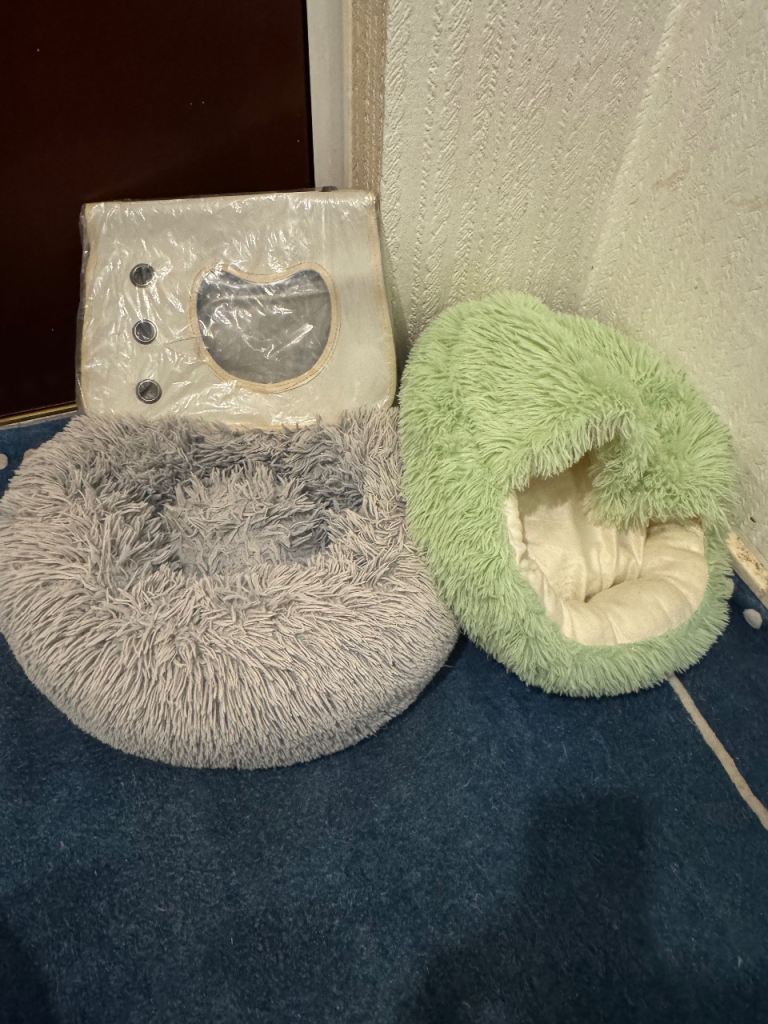 Cat bed and carrier 