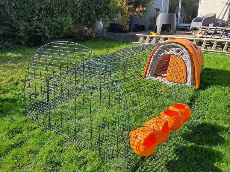 Omlet Eglu Classic Coop + 2m run