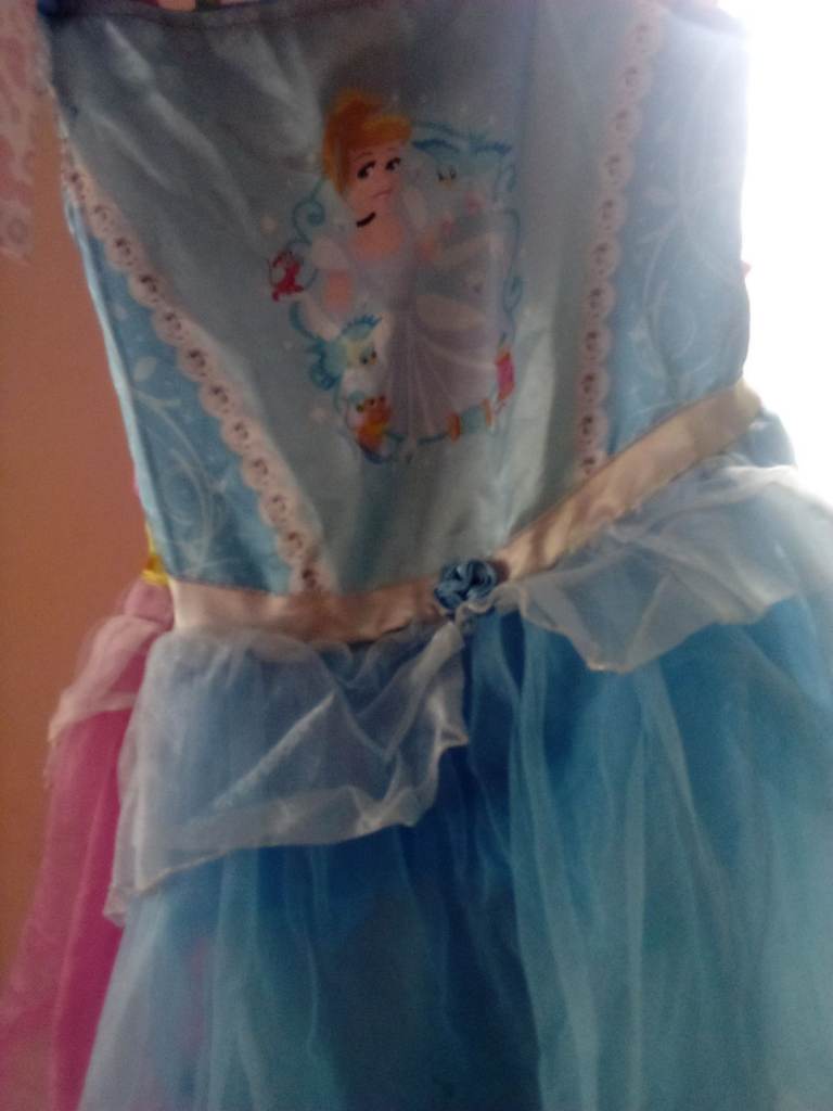 Blue  Cinderella dress 
