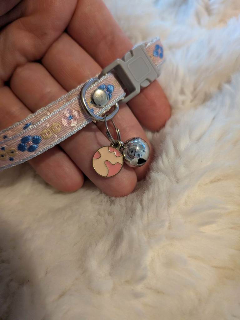 Blue and Rose Embroided Adjustable Cat Collar CASH OR TRANSFER 