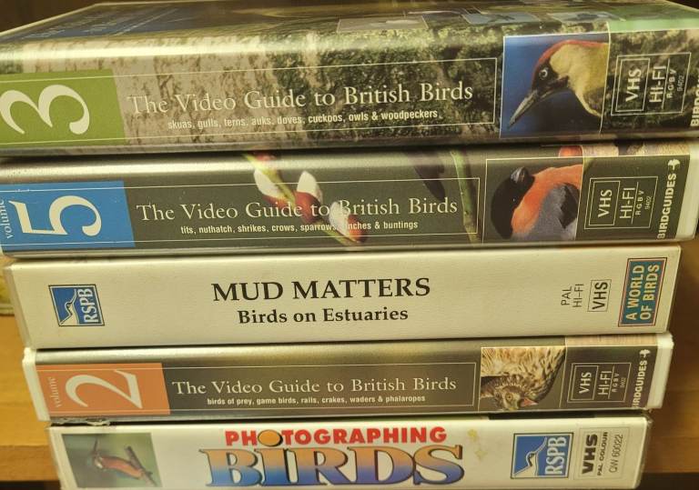 6 x Wildlife Birds Vhs Videos Excellent Condition Mould Free b13