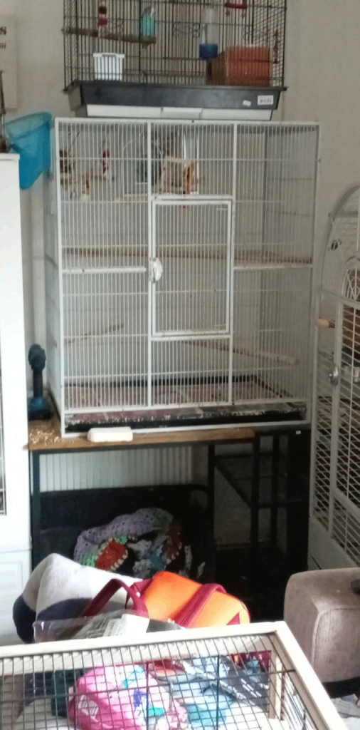 Large bird cage