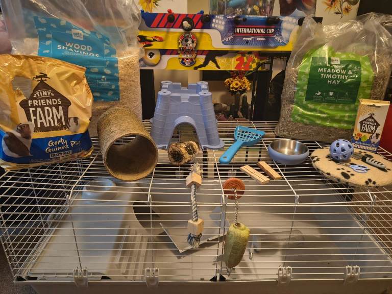 Guinea pig cage and accessories excellent condition 
