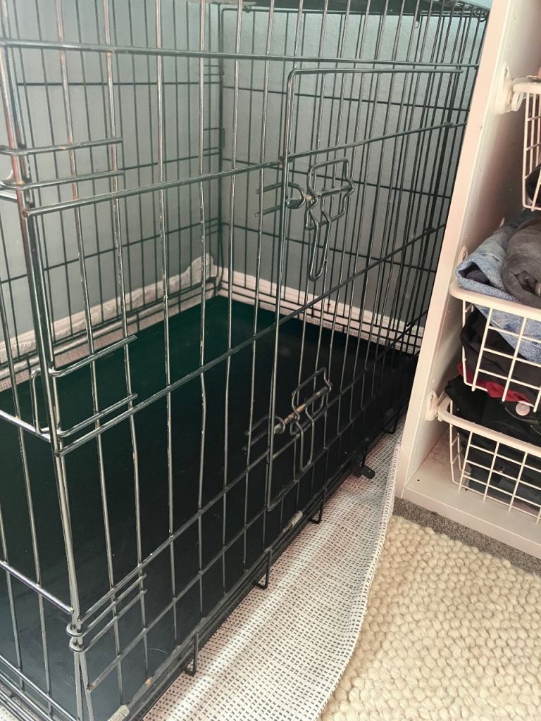 Large Dog Crate- Used