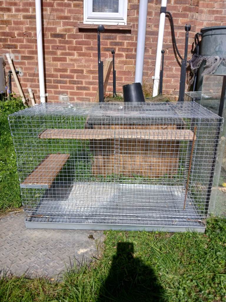 Chinchilla/degu cage