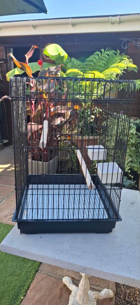 Large Bird Budgie cage