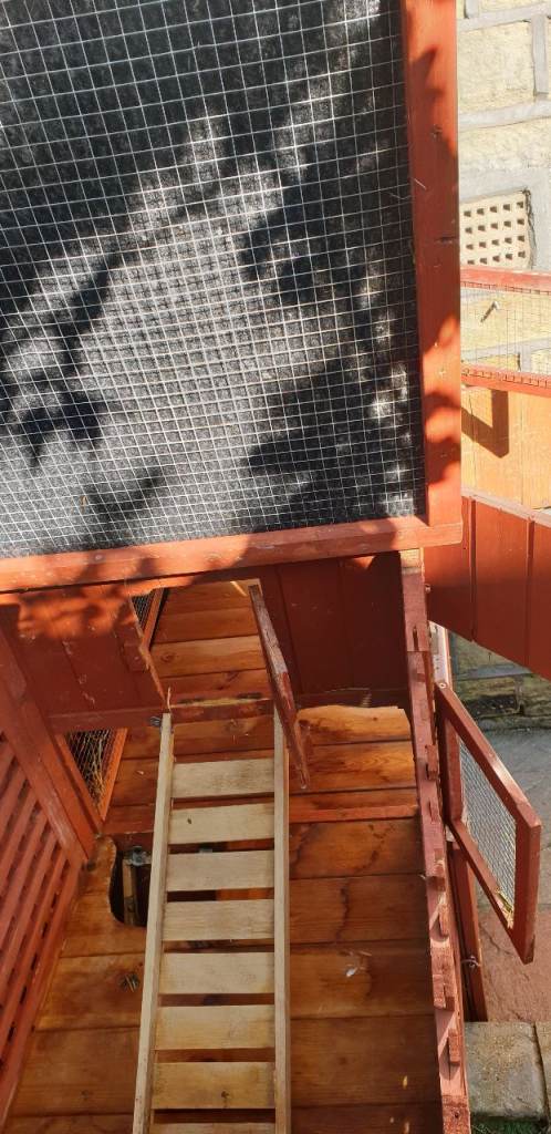 Bunny Rabbit Hutches with Run
