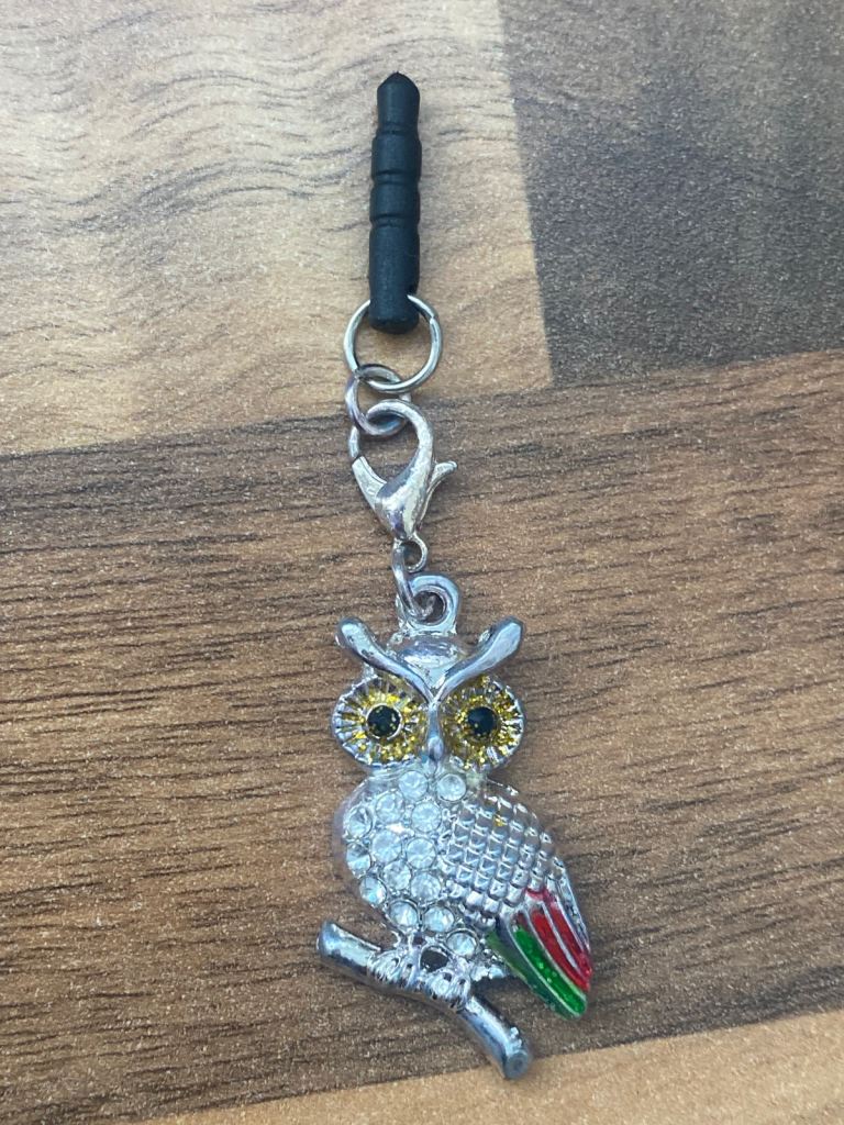 Bling bling dust charm . 