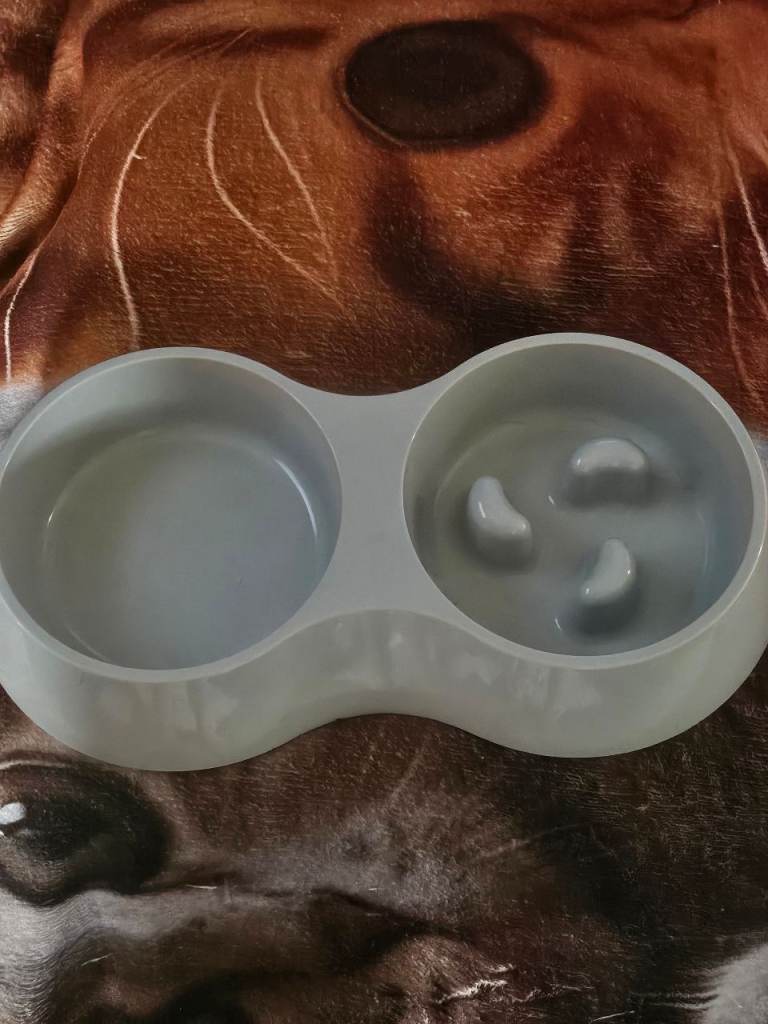 Dog Bowl