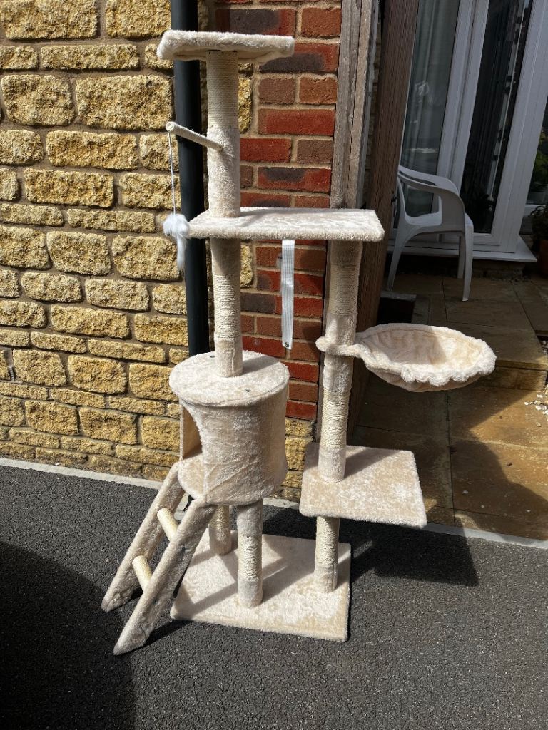 Cat Tower