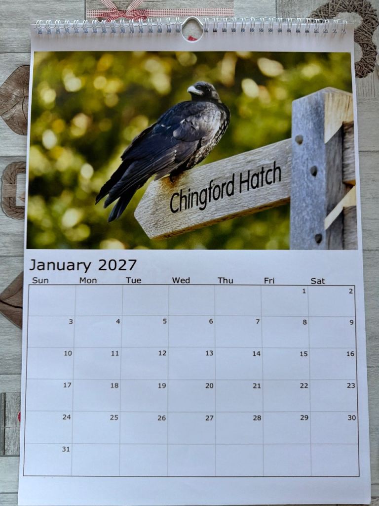 A3 Chingford Hatch 2027 Wall Calendar – Brand New