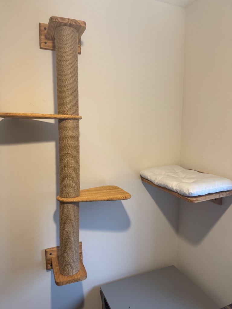 Cat Wall Furniture Set