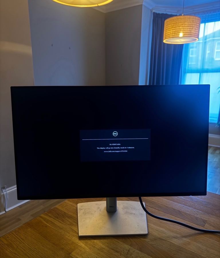 Dell P2425H 24-inch monitor.