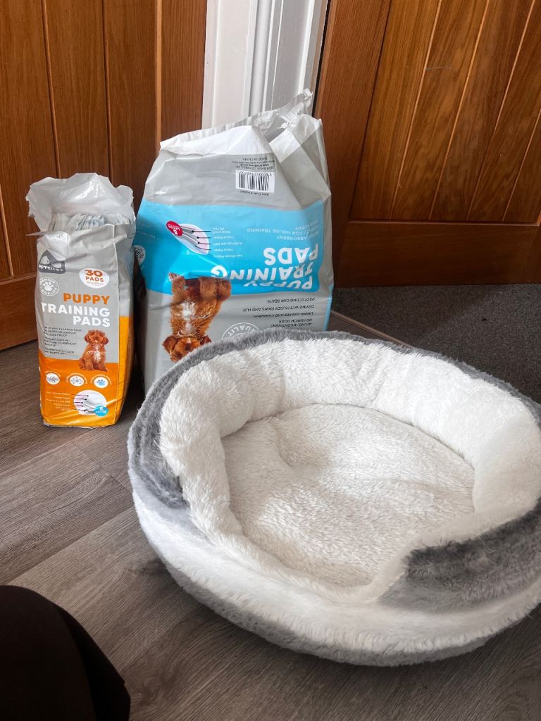 Around 70 puppy pads and bed never used 