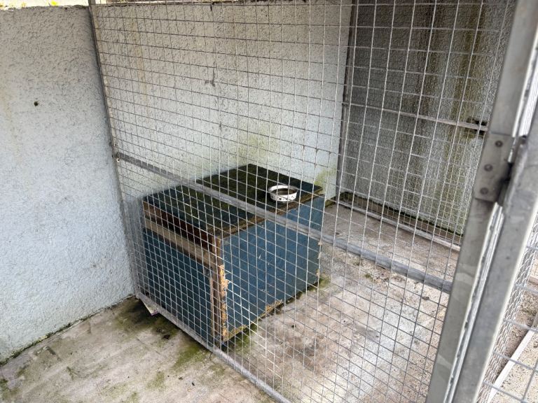 Dog cages for sale