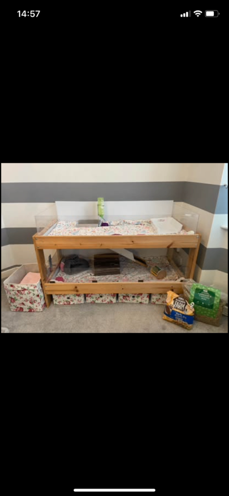 Guinea Pig Enclosure and Accessories 