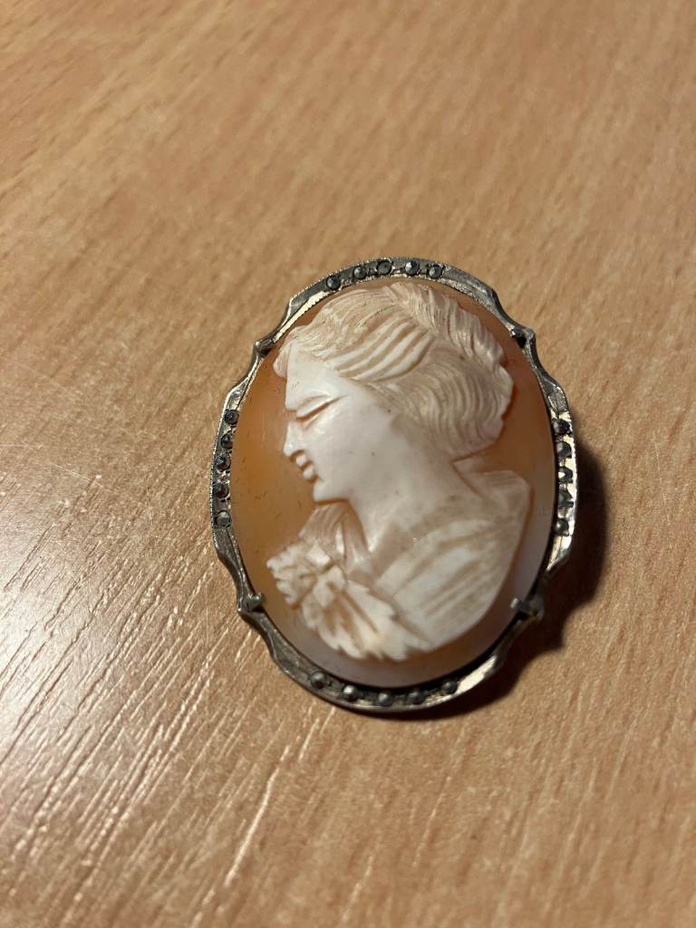 Vintage Shell Cameo Broach & Clip on Ear Rings