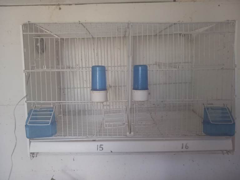 Breeding cages