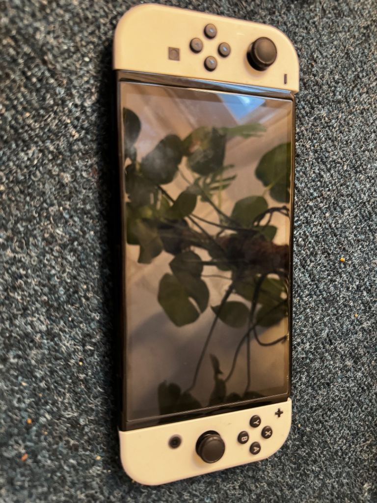 OLED Nintendo Switch